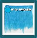 N°25 Turquesa