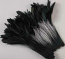 Antenas de cola de gallo negro/bronce