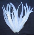 Plumas de gallo blanco largas